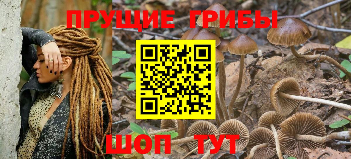 Псилоцибиновые грибы GOLDEN TEACHER Шелехов
