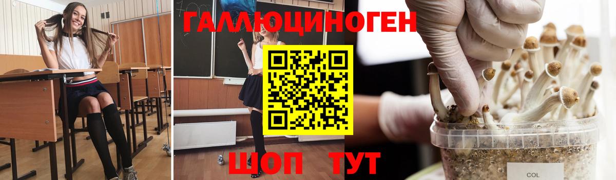 Шелехов  Псилоцибиновые грибы прущие грибы  Вход с VPN 